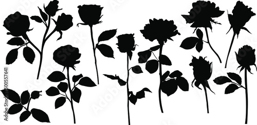 Vector roses silhouettes. Leaves and flowers design elements on white background.