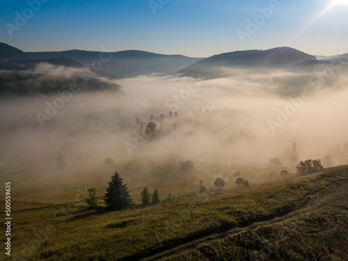 Fir trees on the mountain in the fog. Aerial drone view.