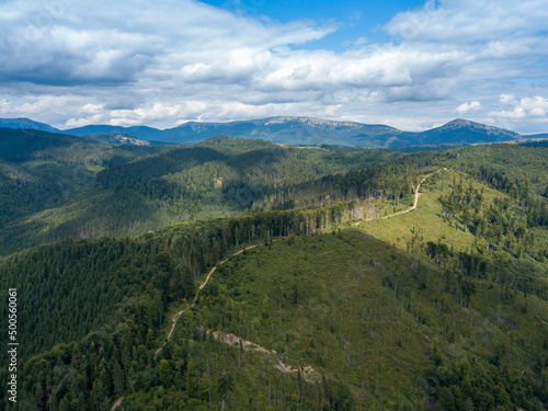Green mountains of Ukrainian Carpathians in summer. Coniferous trees on the slopes. Aerial drone view. © Sergey