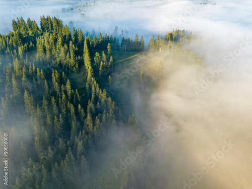 Fog envelops the mountain forest. The rays of the rising sun break through the fog. Aerial drone view.