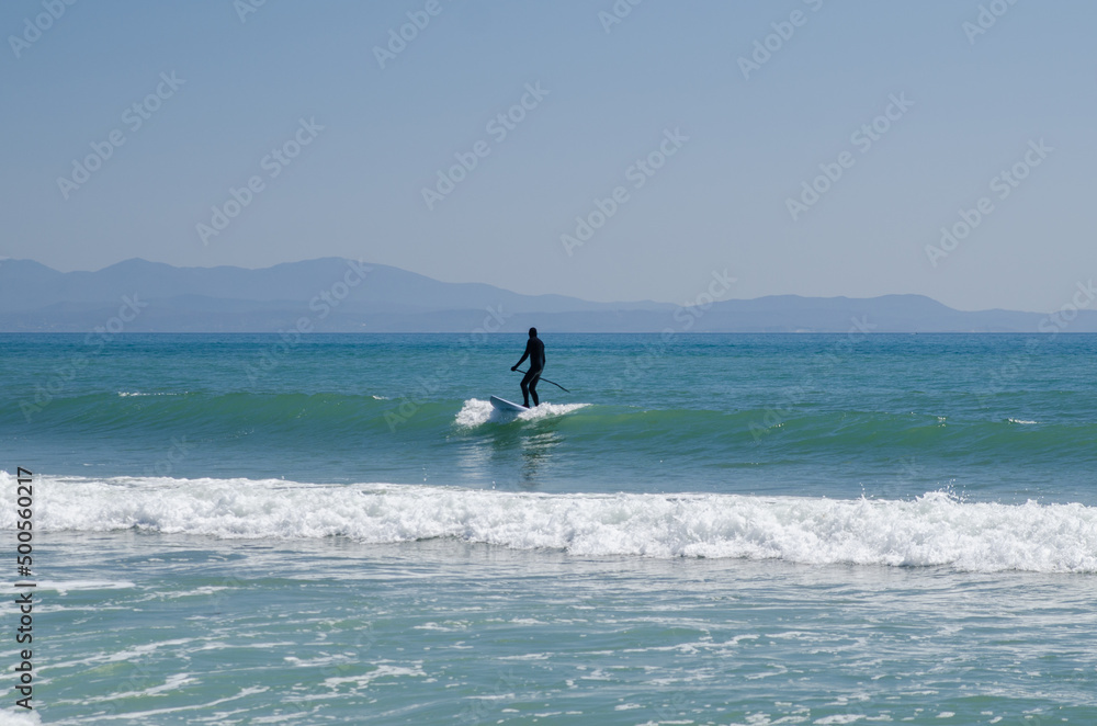Stand up paddle boarder in wetsuit in spring Stand up paddle boarder in wetsuit in spring