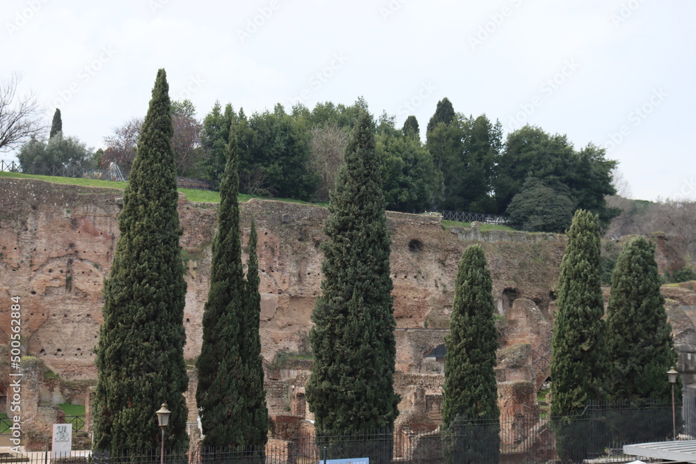 Obraz premium ROME, ITALY - February 05, 2022: Panoramic view around the Colosseum in city of Rome, Italy. Cold and gray sky in the background. Macro photography of the green parks with the old buildings.