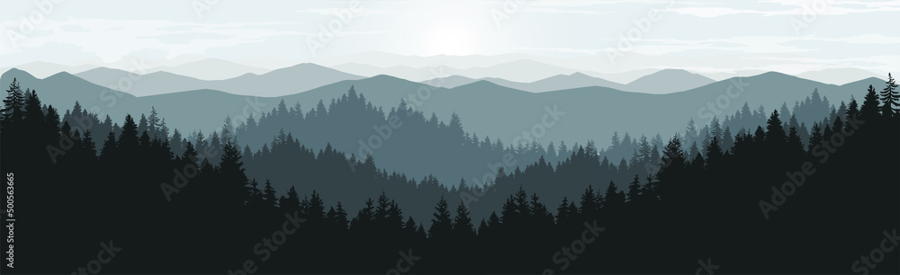 Landscape in the morning. Panorama of mountains and pine forest.