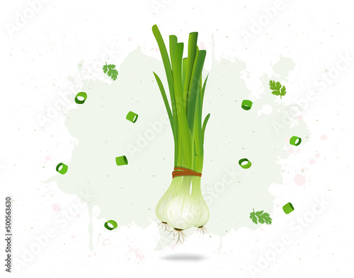 A bunch of  Green Onions with green pieces of onion stem and  leaves vector illustration