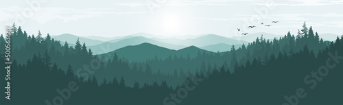 Landscape with mountains in the morning. Panorama of mountains and pine forest.