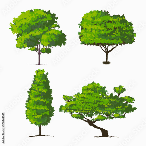 bush drawing vector set, tree vector illustration