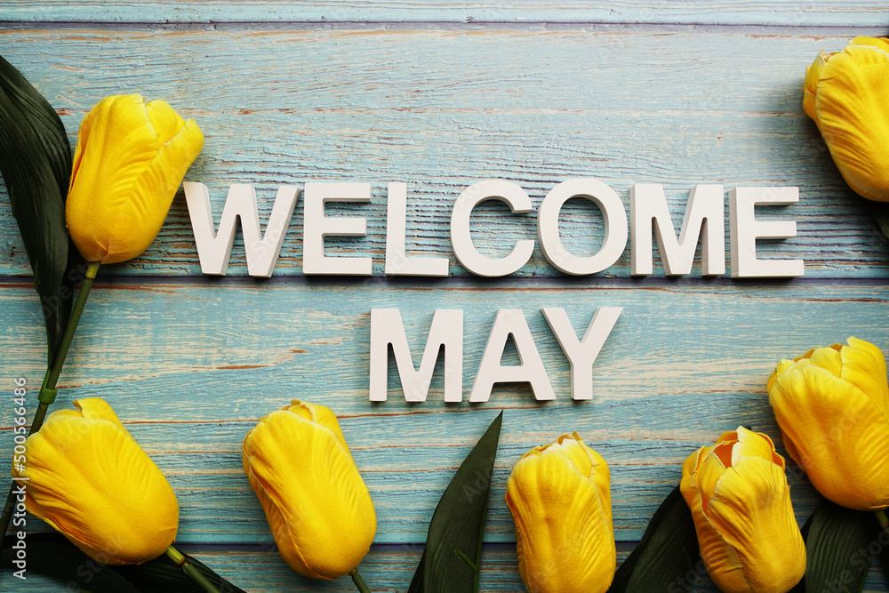Welcome May alphabet with yellow tulip flower on wooden background