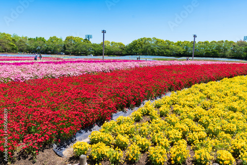 ナガシマリゾート　なばなの里の花ひろば