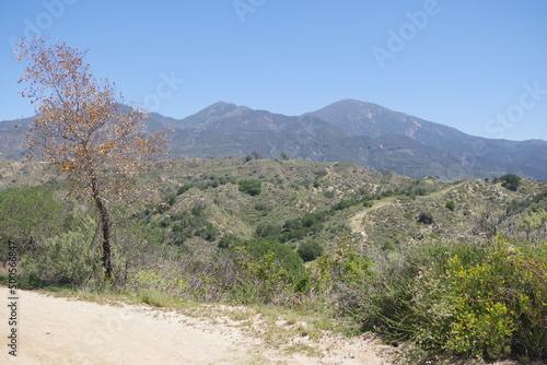 Blick in die Berge im O   Neill Regional Park bei Irvine in Kalifornien 