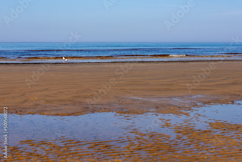 Dark yellow sandy coastline in north partly covered by water, in distance wavy sea, white birds and light blue sky. Empty beach at Majori, Jurmala, Latvia at early spring day. Vacation spot at seashor photo