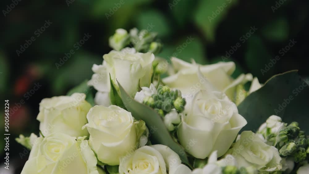 Shooting of buds of live flowers in close-up. The flowers have a very beautiful fresh look Shooting of buds of live flowers in close-up. The flowers have a very beautiful fresh look