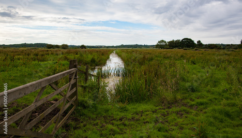 Minsmere Levels.  Looking down an East Anglian fen late in the evening. photo