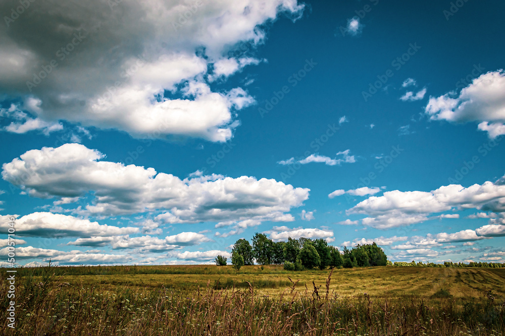 a field on a hillside