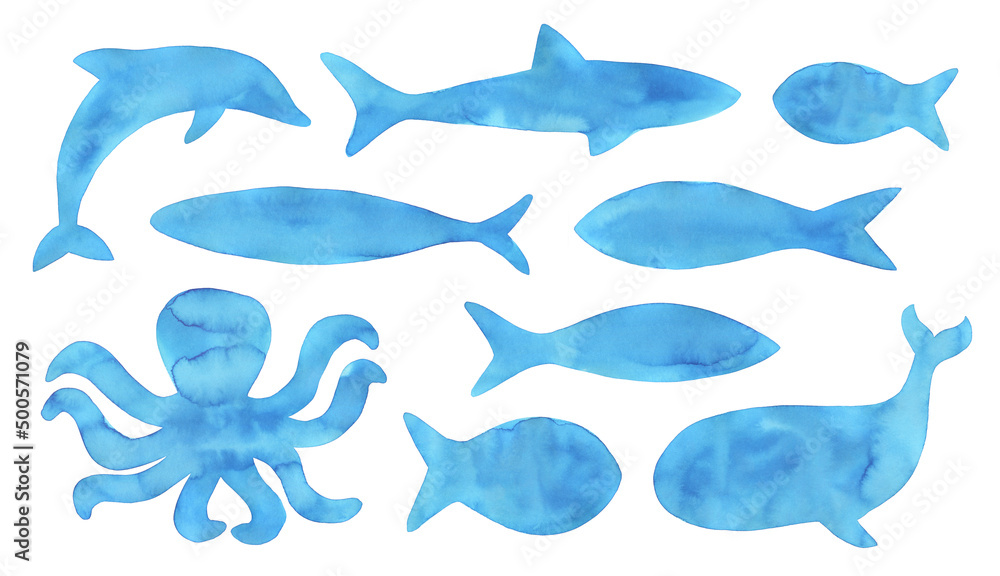 Watercolour illustration collection of various ocean and water animals:  octopus, dolphin, whale, shark, different fishes. Hand drawn water colour  graphic drawing, cut out clipart elements for design. Stock Illustration |  Adobe Stock