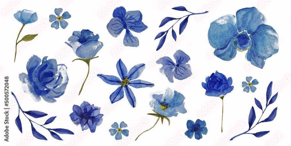 Blue flowers watercolor illustration set