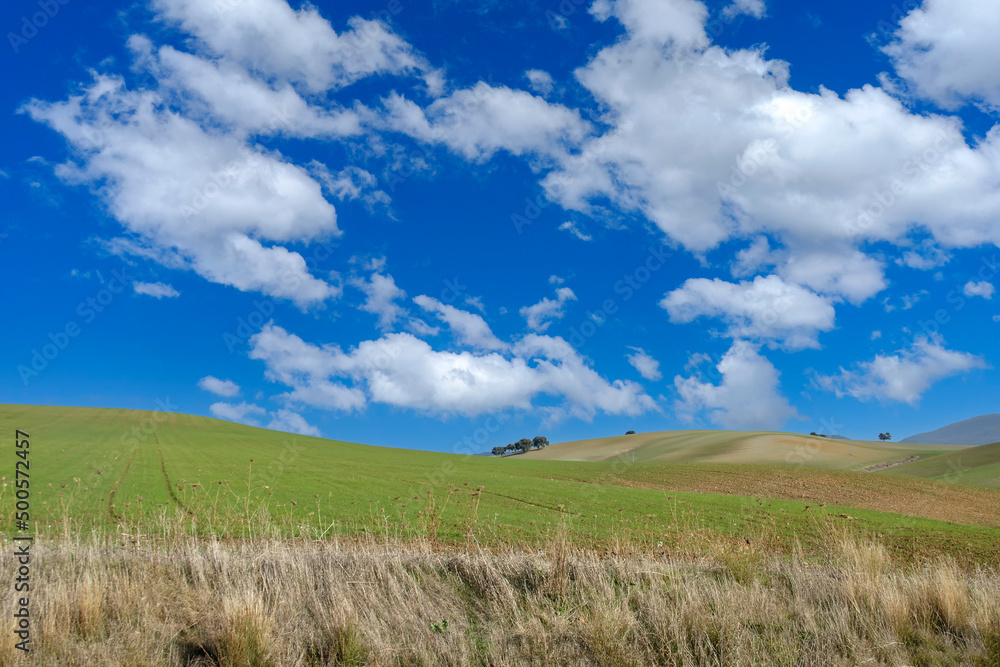 bonito campo con contraste de colores entre el cielo y la tierra