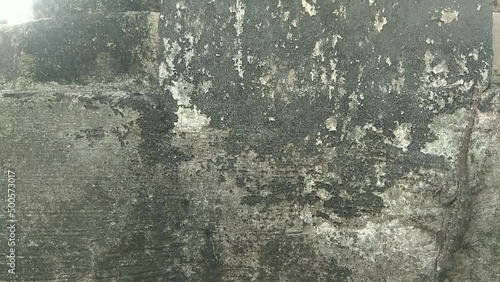 izard or cicak is crawling on a dirty, rough cement wall in search of food