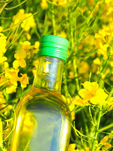 Bottle of golden cooking oil in front of a rapeseed or canola field