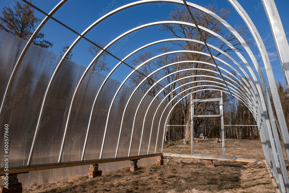 Fototapeta premium Polycarbonate greenhouse in the garden. The greenhouse is used for growing organic plants at home. Growing vegetables and fruits, gardening. The light is the setting bright sun.