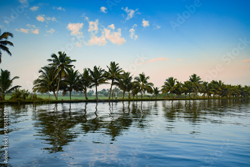 palm trees on lake with reflection,Cocunut tree,Kerala backwaters Alleppey
 photo