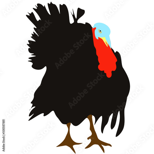 Turkey Norfolk Black icon isolated on white background. Gobbler farm bird drawing clipart, vector eps 10