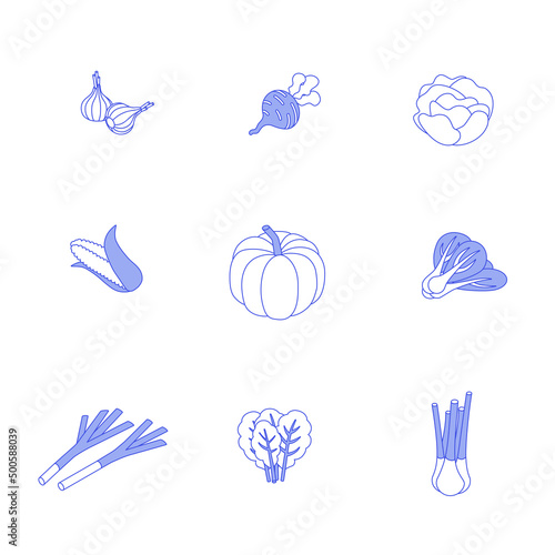 Vegetables, greens, fruits set. Isometric vector illustration in flat design. Outline, linear style, line art. Meal preparation.