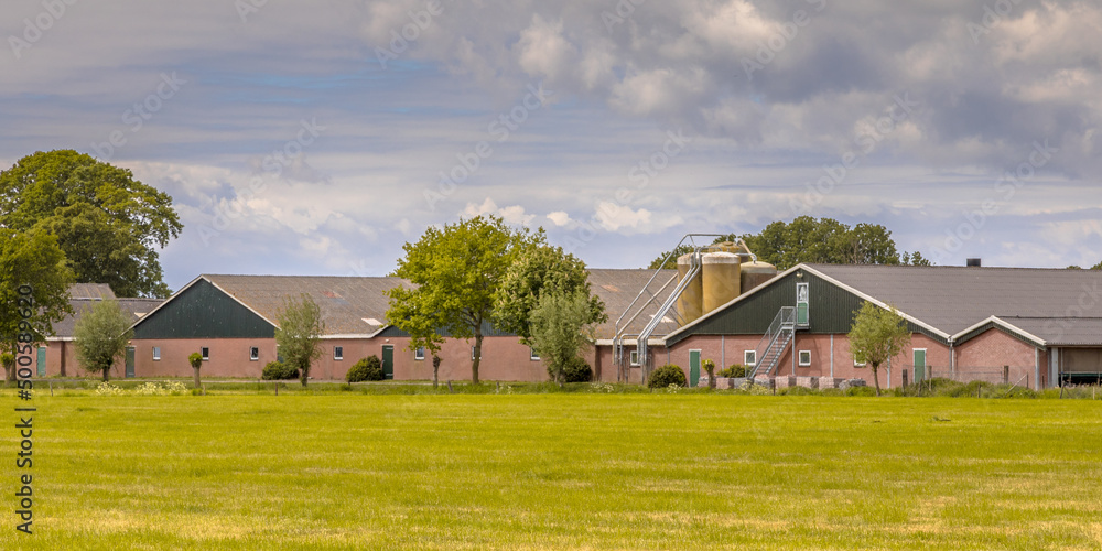 Fototapeta premium Modern barns of a farm with silos in dutch agricultural landscape