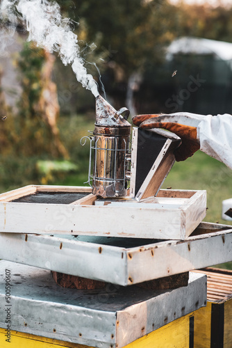 beekeeping