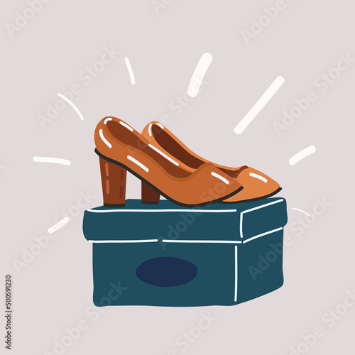 Vector illustration of Box with pair of female shoes on floor