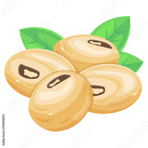 Soy Seeds