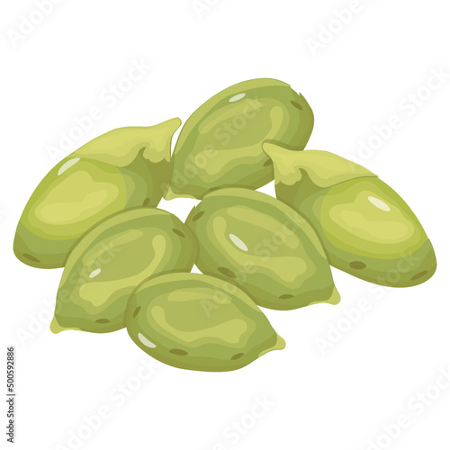 Pumpkin Seeds
