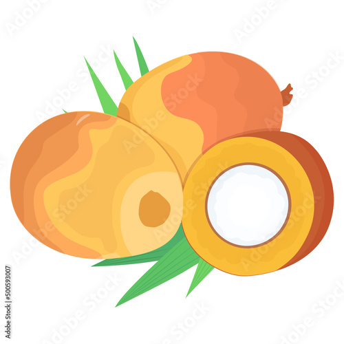 Palm Fruit 