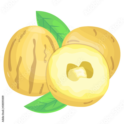 Honeydew Melon