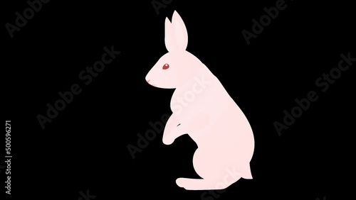 シンプルなウサギが周りを警戒しながら走るループアニメーション、透過背景