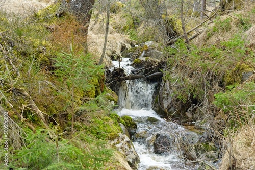 Fototapeta Naklejka Na Ścianę i Meble -  A small waterfall running through a forest.