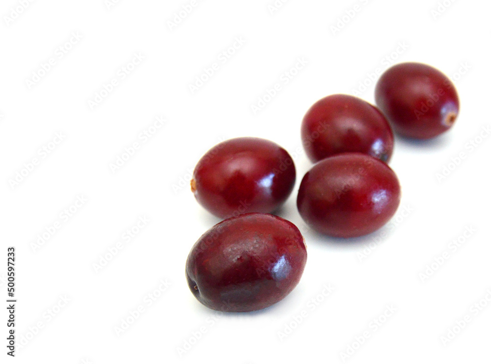 Cranberry isolated on white background Cranberry isolated on white background