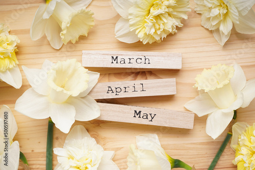 Yellow daffodil flowers and wooden calendar on wooden background. Top view.