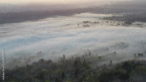 Dawn illuminates a layer of fog that covers the scenic Willamette River not far south of Portland, Oregon. This beautiful part of the Pacific Northwest receives lots of moisture annually. photo