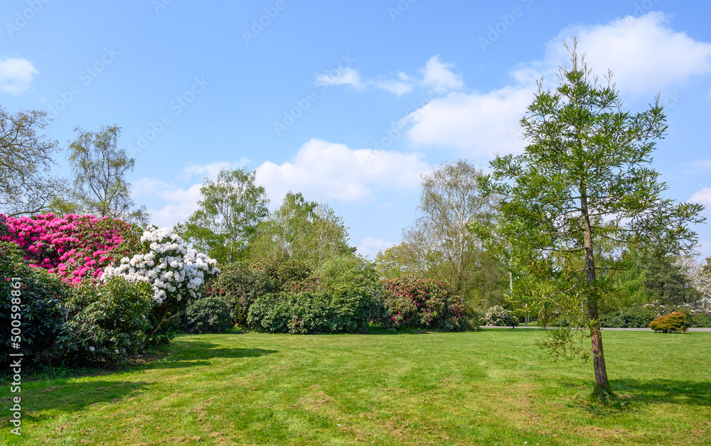 Naklejka premium Dulwich Village, London, UK: Lawn, flowers and trees in the American Garden in Dulwich Park. Dulwich Park is a public park in south London. 