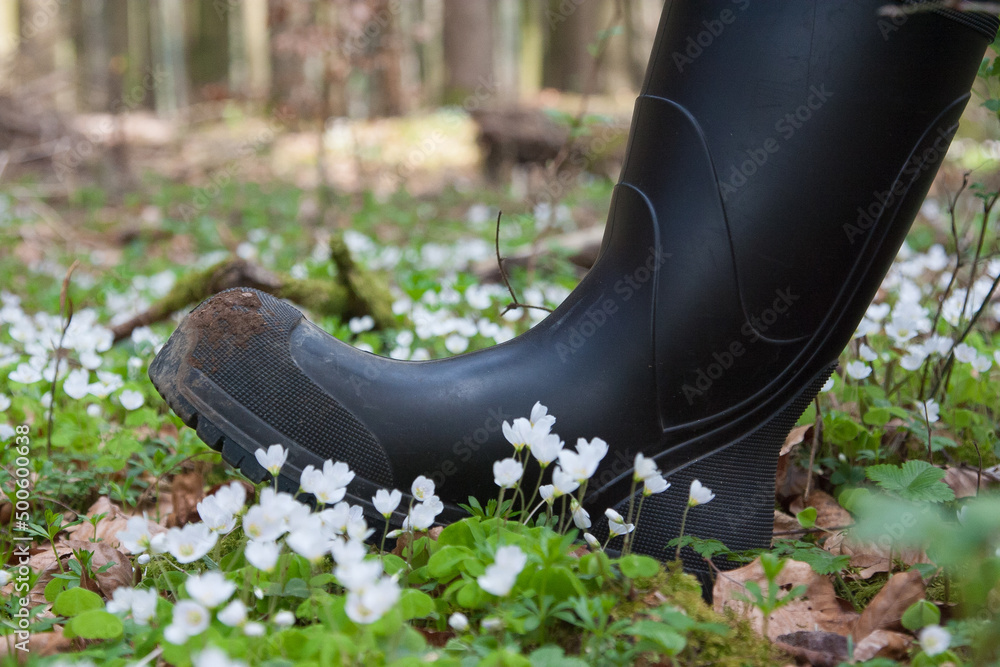 Through the blooming forest with rubber boots. Whether you are a hunter