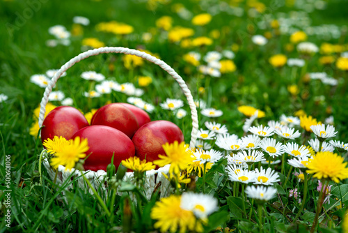 Easter basket with eggs on spring field