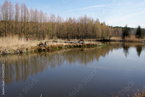 Stefan Białobok arboretum in Stradomia Dolna