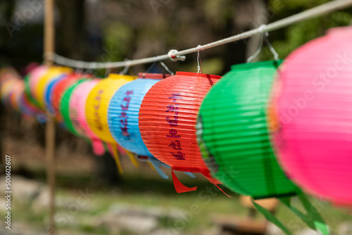 Buddha's birthday celebration, colorful lotus lanterns at the temple