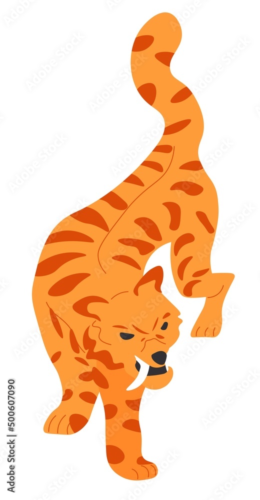 Dangerous tiger feline animal, wildlife nature