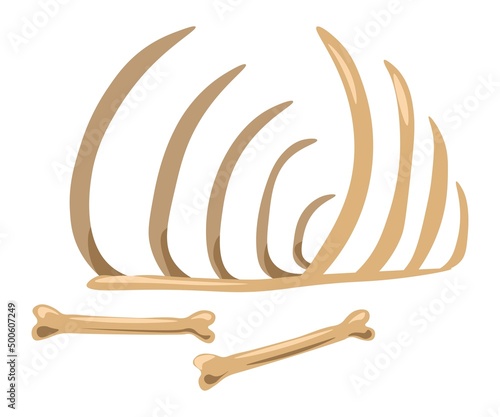 Bones skeleton left by extinct animal in past