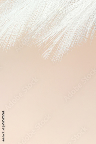 Ethereal Pink Fluffy Feather on Pastel beige background. Copy space.