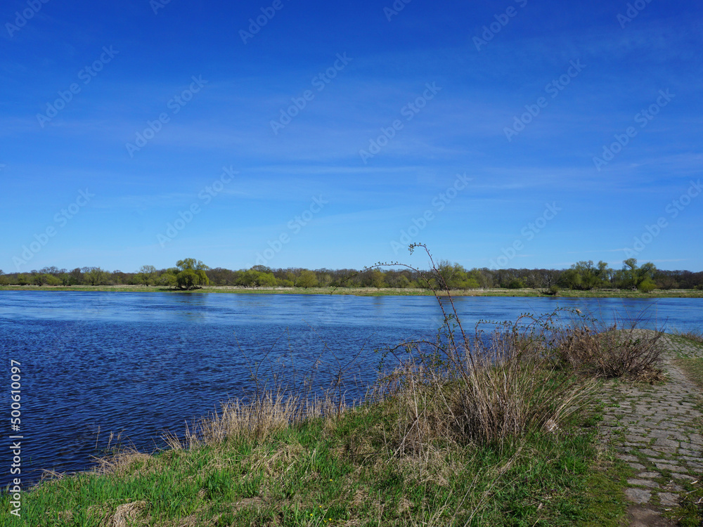Blick auf den Fluss Elbe in der Nähe von Magdeburg in Sachsen Anhalt