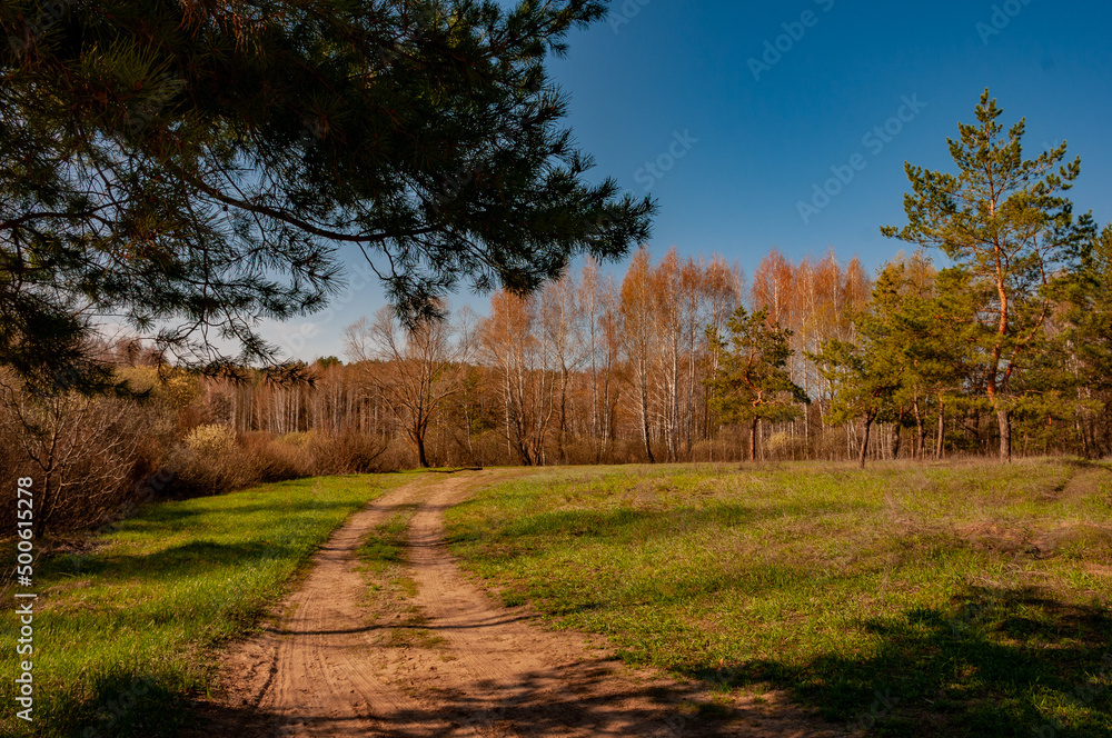 Morning forest in Samrskaya Luka National Park! Morning forest in Samrskaya Luka National Park!