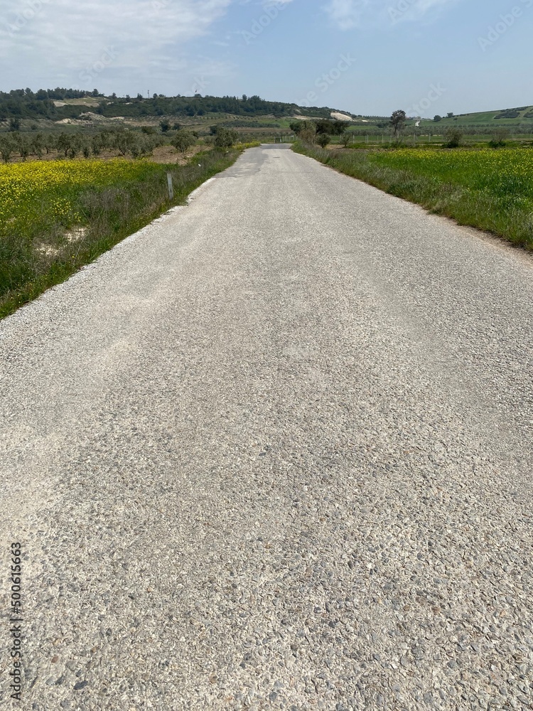 Long Straight Road, Highway Between Fields