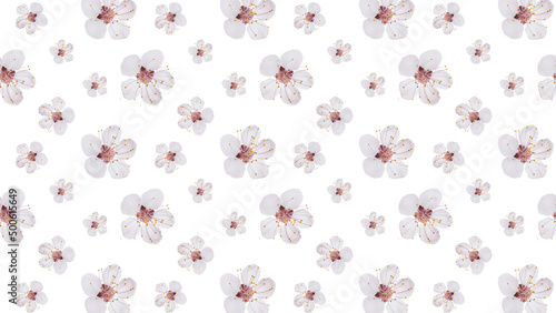 Spring pattern on a white background.